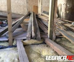 Oddam drzewo za darmo.