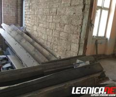 Oddam drzewo za darmo.