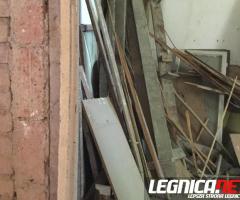 Oddam drzewo za darmo.