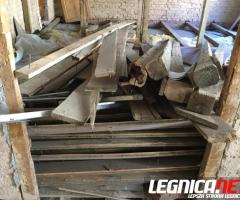 Oddam drzewo za darmo.