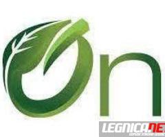 Kurs na Instalatora Systemów Fotowoltaicznych