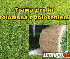 Trawa z rolki, rolowana z położeniem