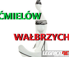 KUPIĘ FIGURKI ĆMIELÓW,WAŁBRZYCH,CHODZIEŻ,MIŚNIA TELEFON 694972047