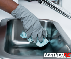 Profesjonalna opieka nad domem i ogrodem, sprzątanie domów,  pielęgnacja ogrodu