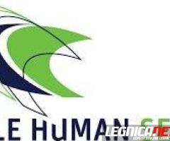 Dobrze płatna praca z cebulkami kwiatowymi. Dużo godzin!