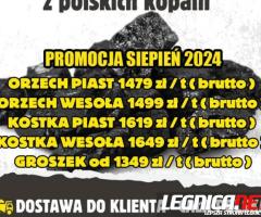 Sierpniowa promocja na węgiel hurtowy z polskich kopalni 2024