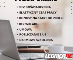 Praca stała lub dodatkowa zdalna, w domu, przez internet