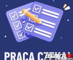 Ankieter - Praca Dodatkowa