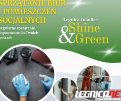 Profesjonalne sprzątanie biur, domów, mieszkań