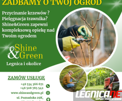 Profesjonalne sprzątanie biur, domów, mieszkań