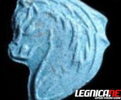 Eski kupisz na Xtcalien - Zapraszamy