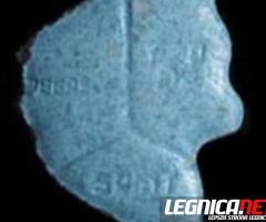 Eski kupisz na Xtcalien - Zapraszamy