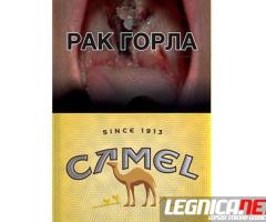 Papierosy Camel - Sklep z papierosami - papierosek.com