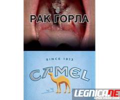 Papierosy Camel - Sklep z papierosami - papierosek.com
