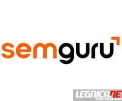 Semguru - Skuteczny marketing internetowy dla Twojego biznesu 