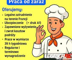 Kucharz praca we Francji