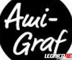 POZYCJONOWANIE STRON W LEGNICY – AMI-GRAF Legnica