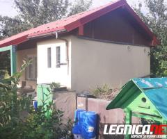 Działka ROD "ZORZA" w Ziemnicach k/Legnicy (PILNE)