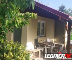 Działka ROD "ZORZA" w Ziemnicach k/Legnicy (PILNE)